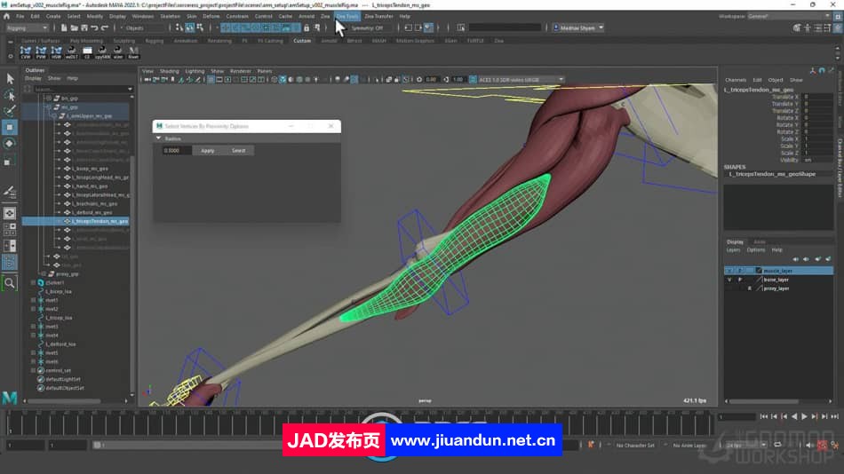 Maya中Ziva VFX人体骨骼组织模拟动画视频教程 maya 第3张