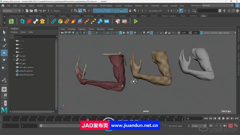Maya中Ziva VFX人体骨骼组织模拟动画视频教程 maya 第5张