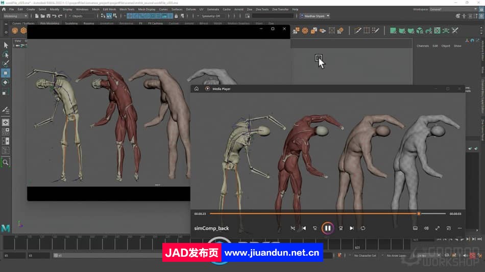 Maya中Ziva VFX人体骨骼组织模拟动画视频教程 maya 第8张