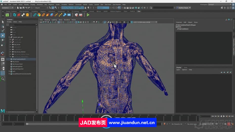 Maya中Ziva VFX人体骨骼组织模拟动画视频教程 maya 第9张