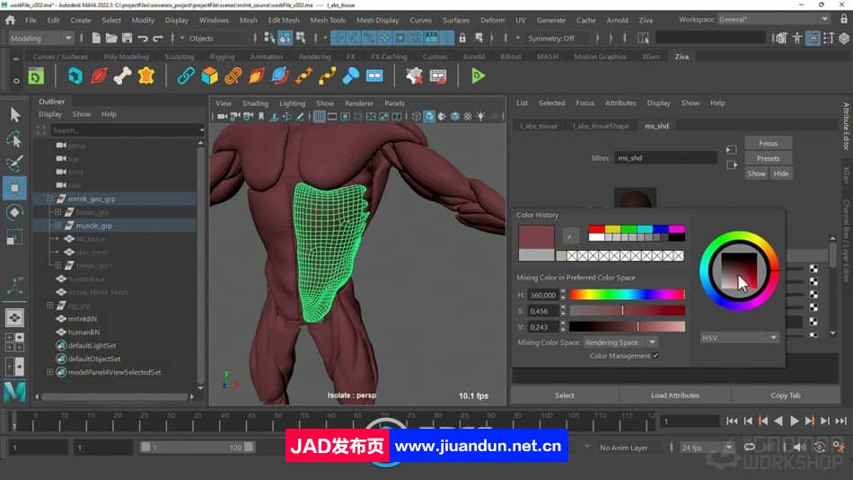 Maya中Ziva VFX人体骨骼组织模拟动画视频教程 maya 第7张