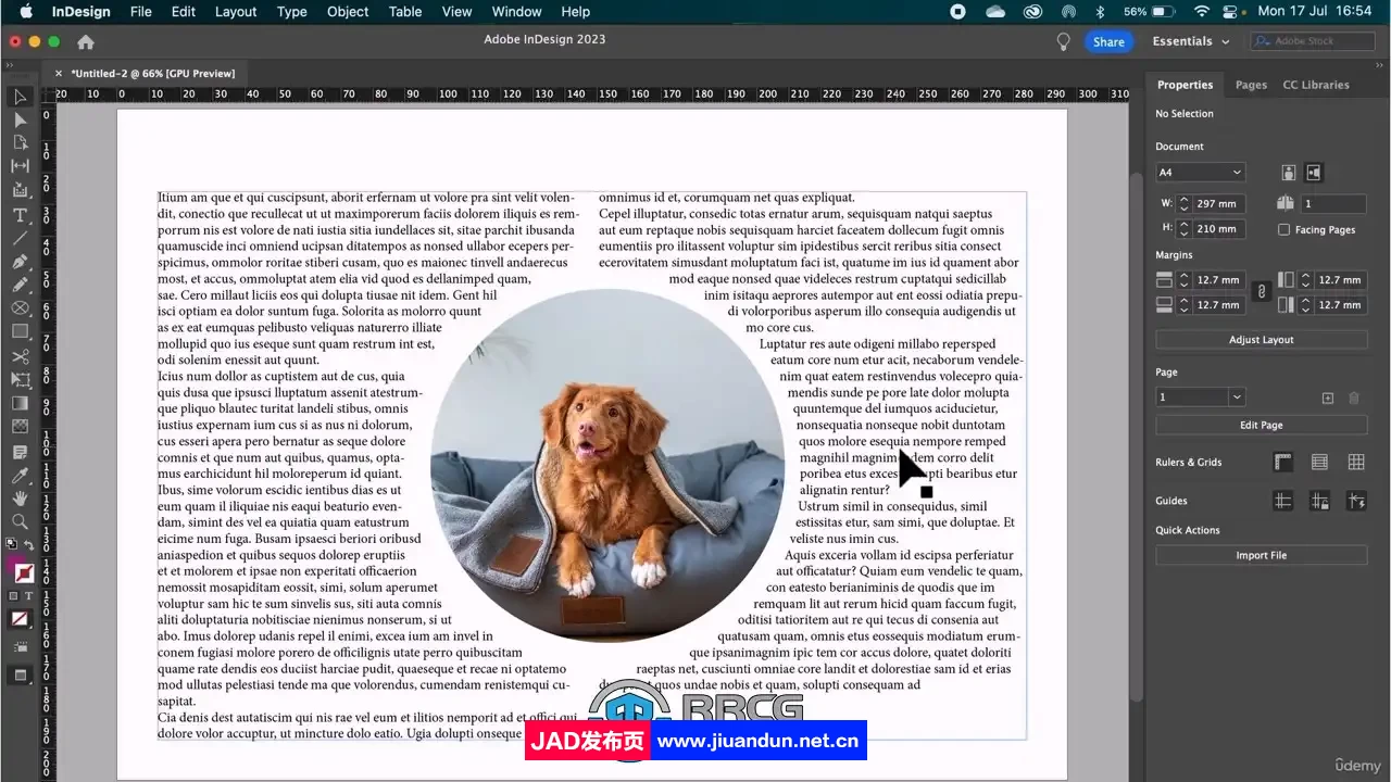 InDesign排版和色彩理论平面设计技术视频教程 ID 第3张