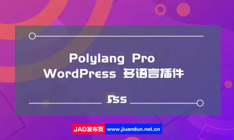 Polylang Pro 汉化版- WordPress多语言支持翻译插件 wordpress主题/插件 第1张