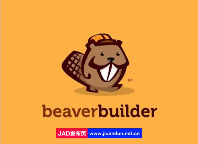 Beaver Builder Pro汉化版-WordPress可视化网页设计器插件+附件扩展 wordpress主题/插件 第1张