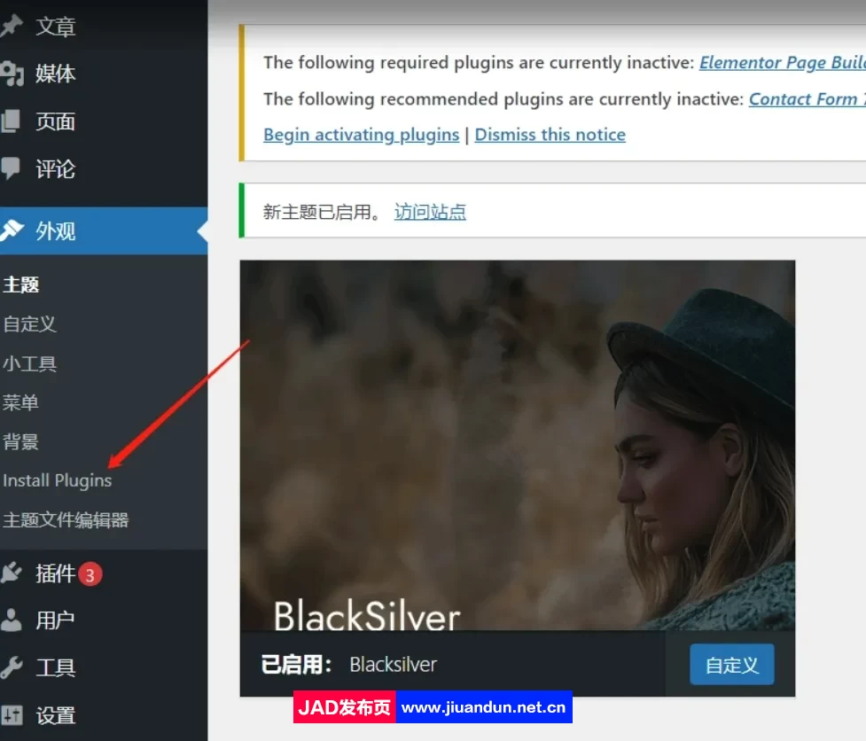 Blacksilver主题汉化版– WordPress专业摄影主题+demo演示数据 wordpress主题/插件 第5张