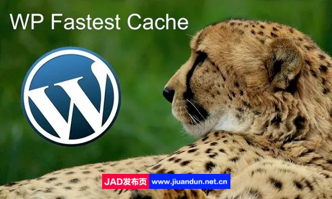 WP Fastest Cache Premium 汉化版-WordPress高级缓存插件 wordpress主题/插件 第1张