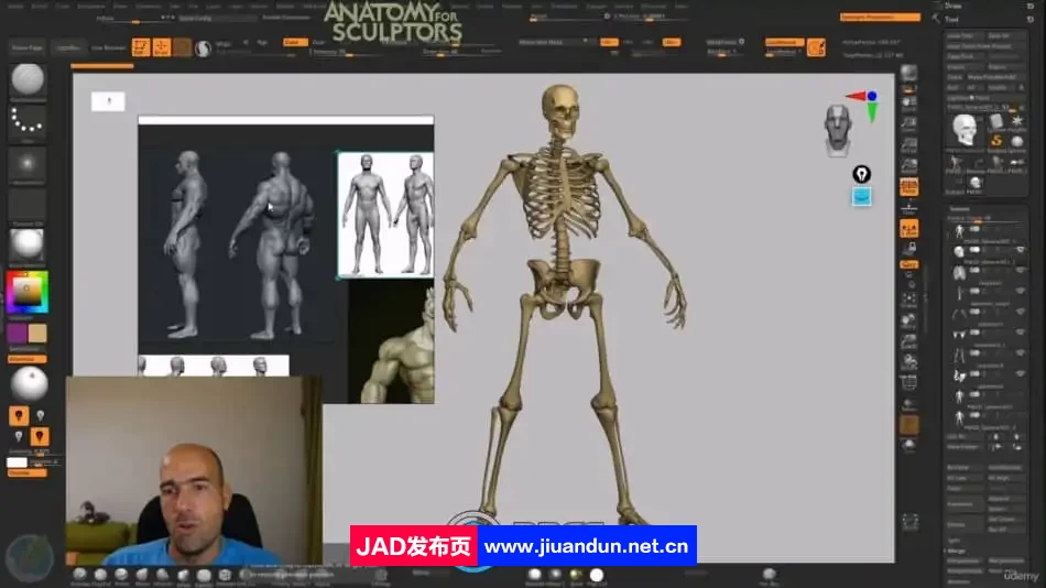 【中英双语】Zbrush超人人体解剖学完整制作流程视频教程 3D 第7张