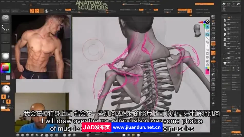 【中英双语】Zbrush超人人体解剖学完整制作流程视频教程 3D 第11张