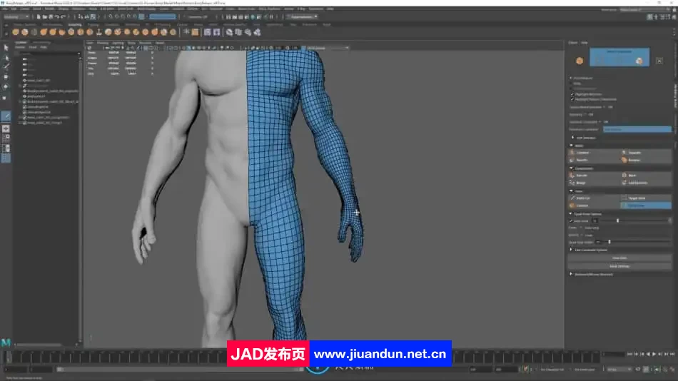 Zbrush逼真3D角色人体骨架肌肉解剖制作视频教程 3D 第7张