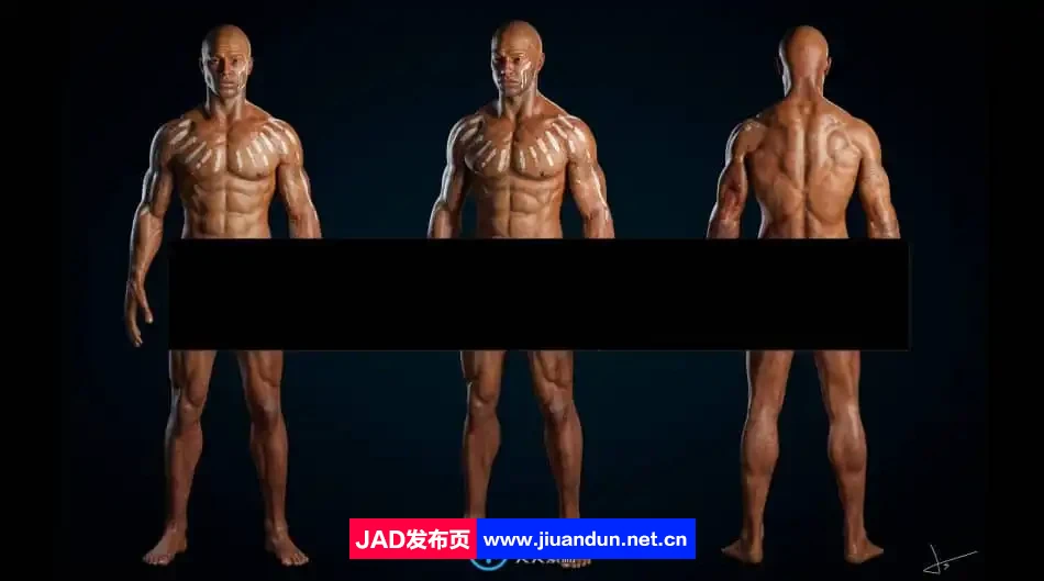 Zbrush逼真3D角色人体骨架肌肉解剖制作视频教程 3D 第17张