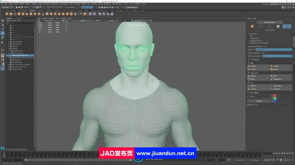 Zbrush逼真3D角色人体骨架肌肉解剖制作视频教程 3D 第8张