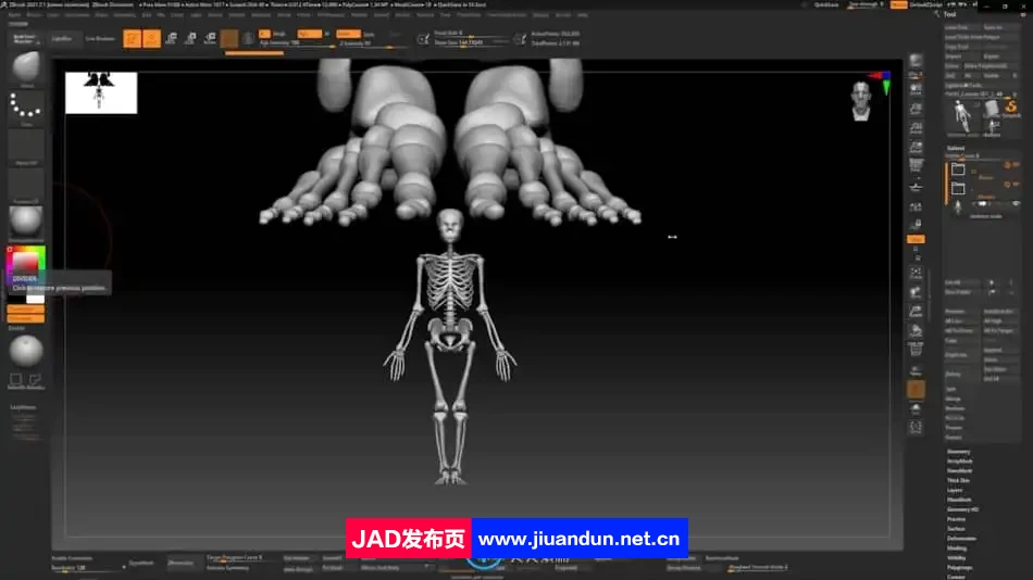 Zbrush逼真3D角色人体骨架肌肉解剖制作视频教程 3D 第4张