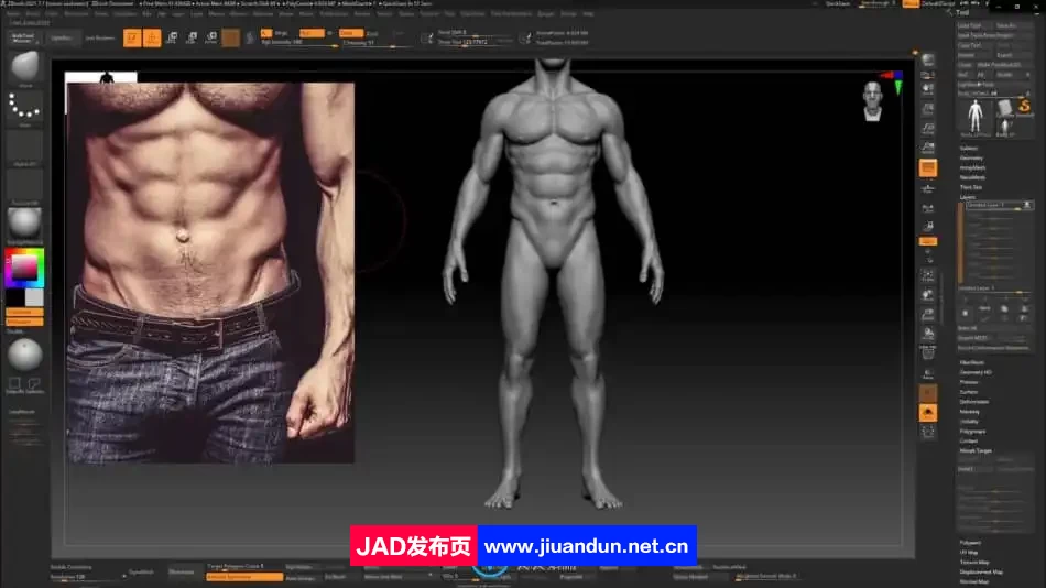 Zbrush逼真3D角色人体骨架肌肉解剖制作视频教程 3D 第11张