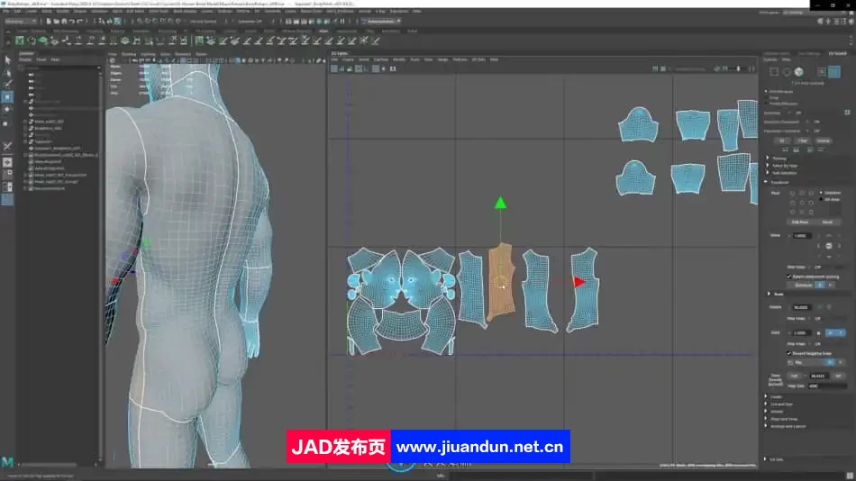 Zbrush逼真3D角色人体骨架肌肉解剖制作视频教程 3D 第10张