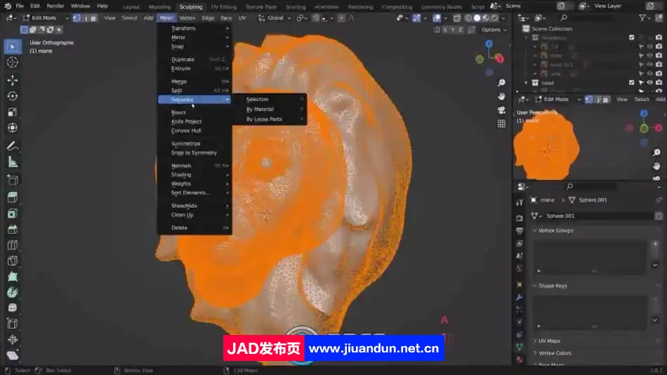 Blender数字肖像角色雕刻艺术技能训练视频教程 3D 第4张