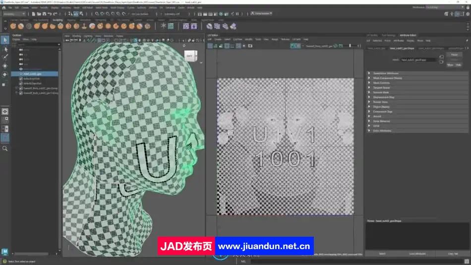 Maya中Xgen逼真人物角色面部与发型制作视频教程 3D 第3张