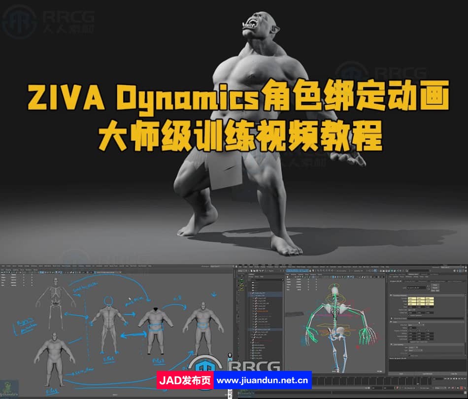ZIVA Dynamics角色绑定动画大师级训练视频教程 CG 第1张