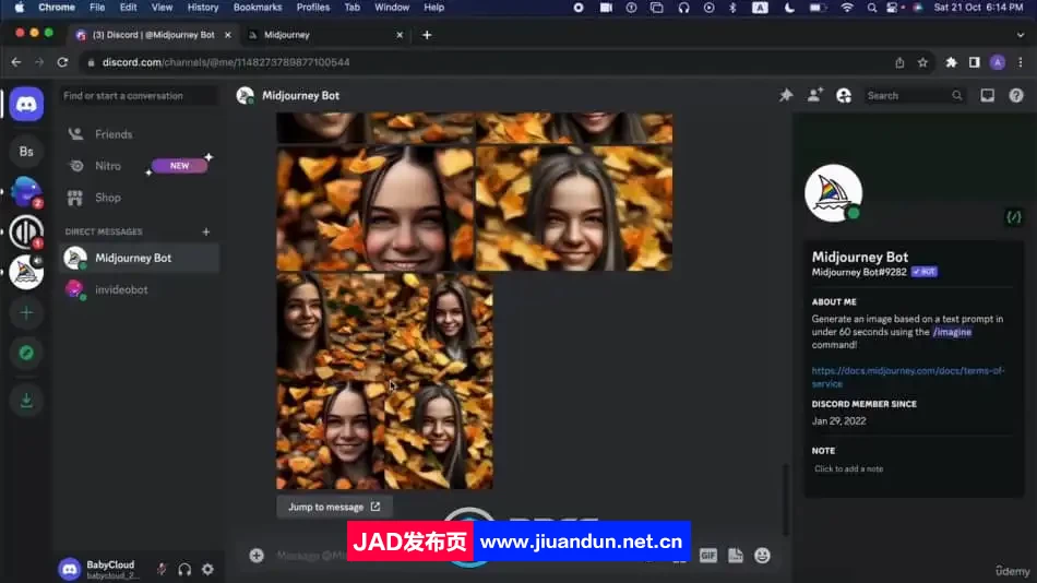 Midjourney可视化AI人工智能艺术图像生成视频教程 Midjourney 第9张