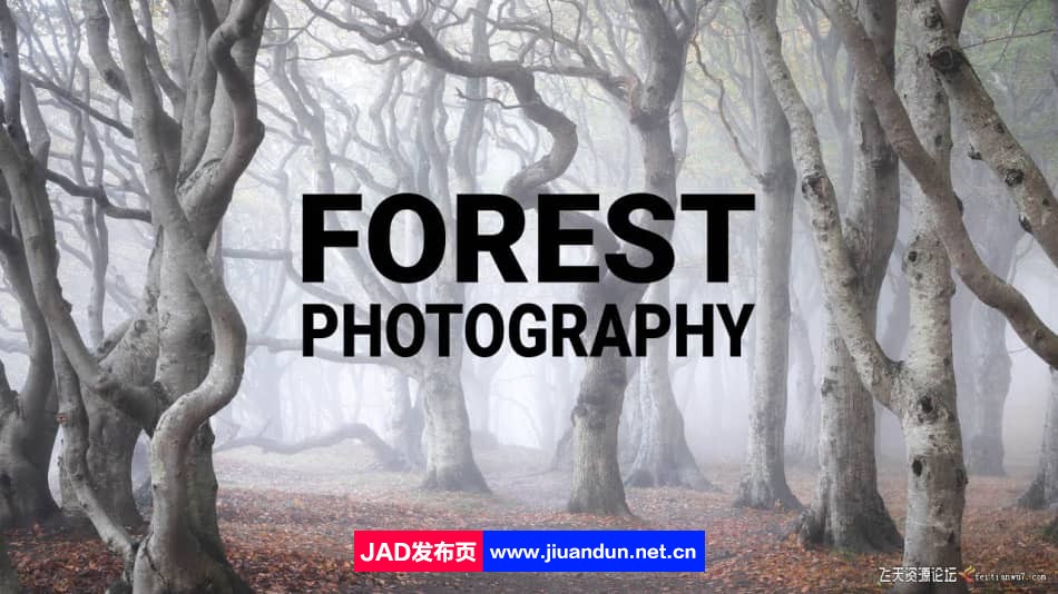 摄影师Mads Peter Iversen-掌握森林风光摄影及后期教程-中英字幕 摄影 第1张