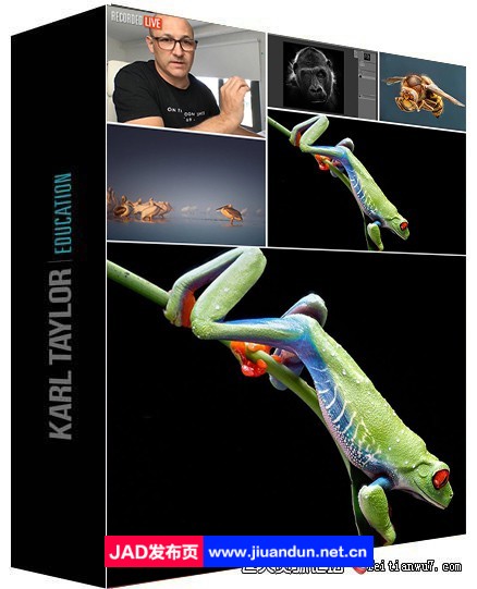卡尔·泰勒Karl Taylor动物自然微距宏观摄影技巧教程-中英字幕 摄影 第1张