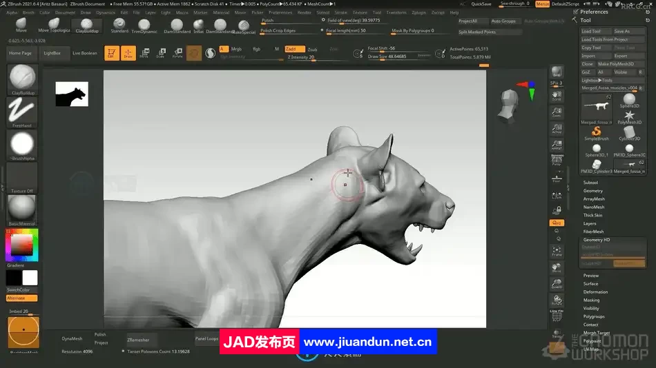 ZBrush逼真动物雕刻解剖学制作流程大师级视频教程 ZBrush 第6张