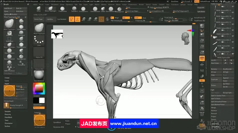 ZBrush逼真动物雕刻解剖学制作流程大师级视频教程 ZBrush 第5张