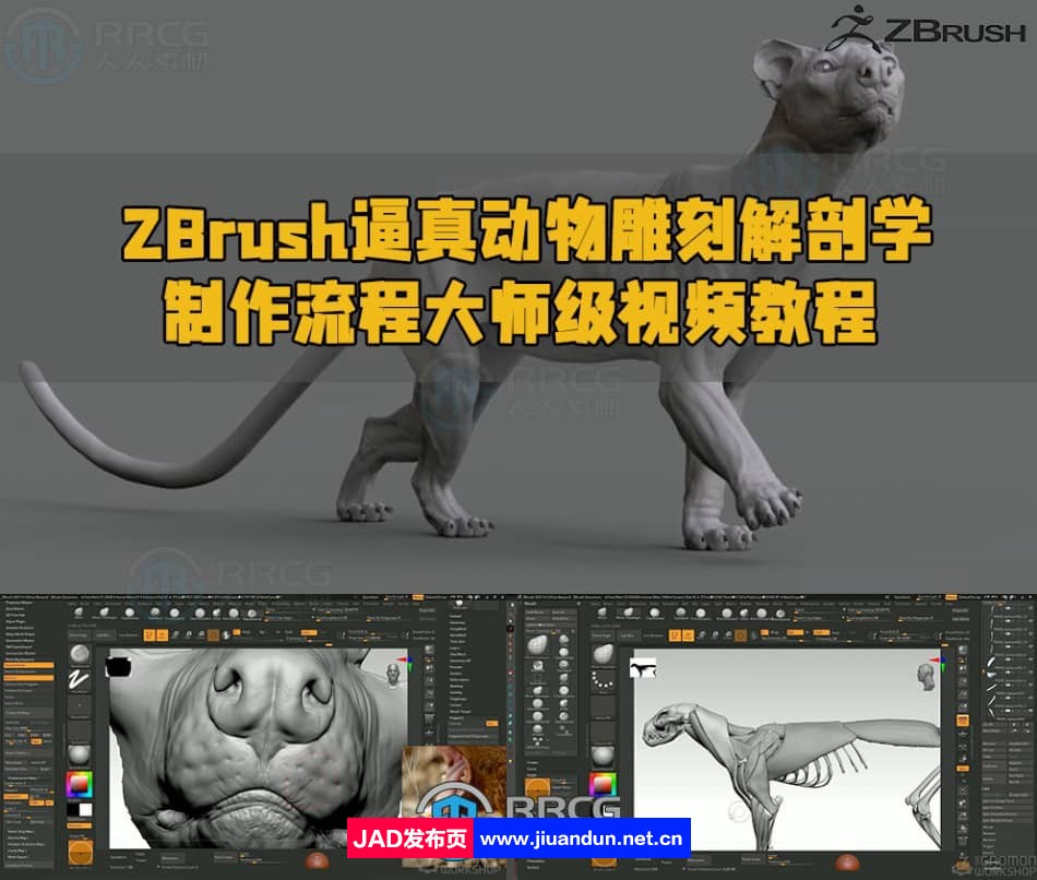 ZBrush逼真动物雕刻解剖学制作流程大师级视频教程 ZBrush 第1张