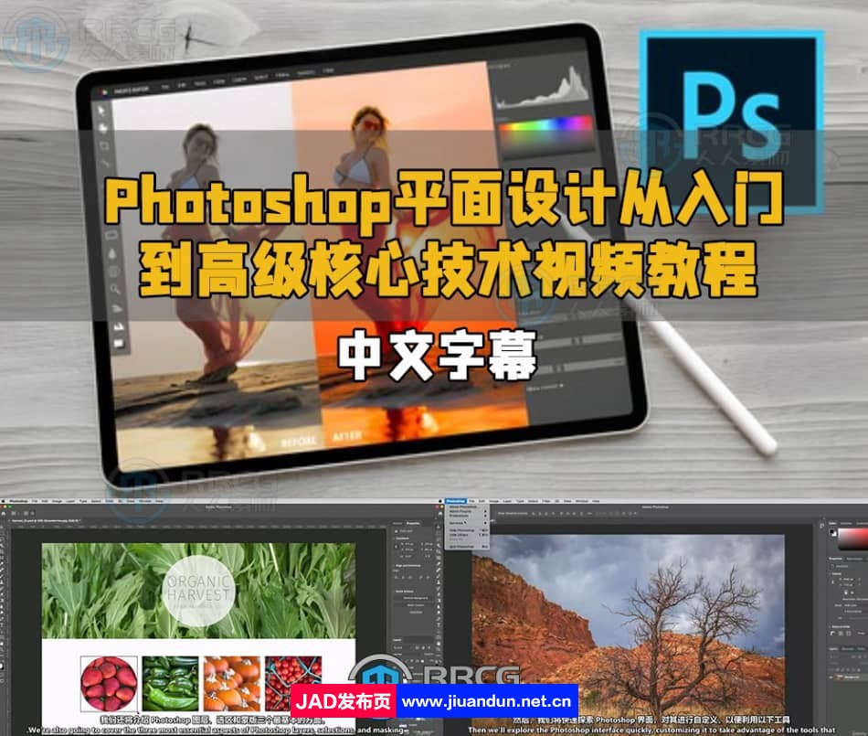 【中文字幕】Photoshop平面设计从入门到高级核心技术视频教程 PS教程 第1张