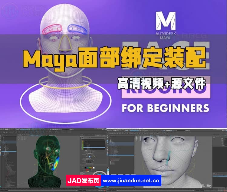 Maya面部绑定装配基础核心技术视频教程 maya 第1张