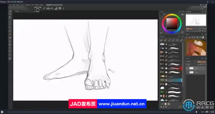 【中文字幕】人体解剖学手脚头脸骨骼肌肉等数字绘画大师级视频教程 CG 第5张