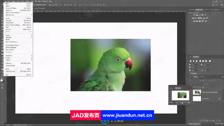 Adobe Photoshop CC从入门到精通完整训练视频教程 PS教程 第4张